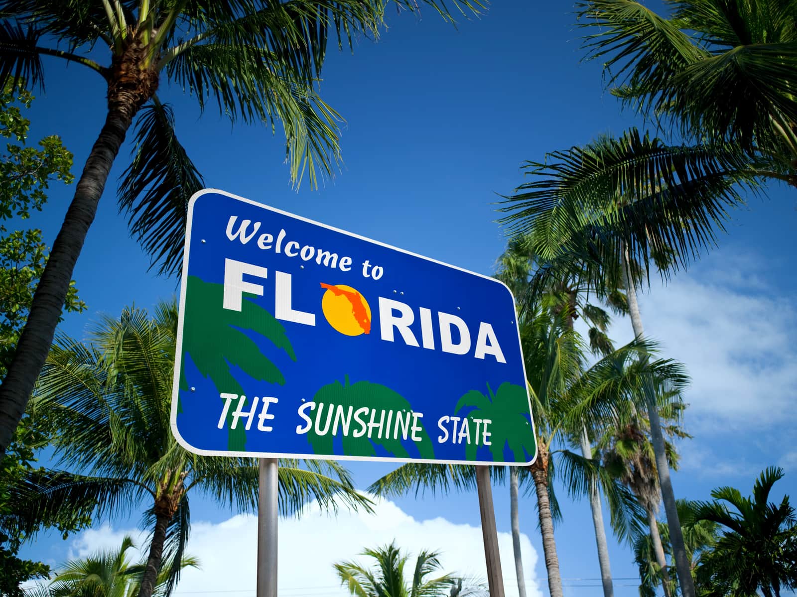 Low angle tropical plants with a welcome sign to Florida, the Sunshine State