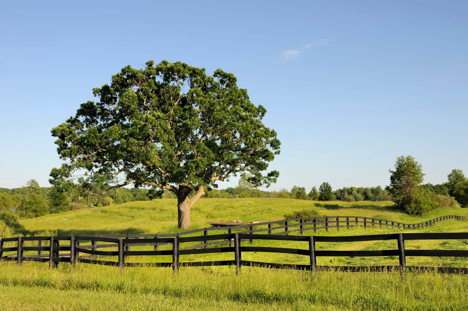 A Michigan Landscape in afternoon light