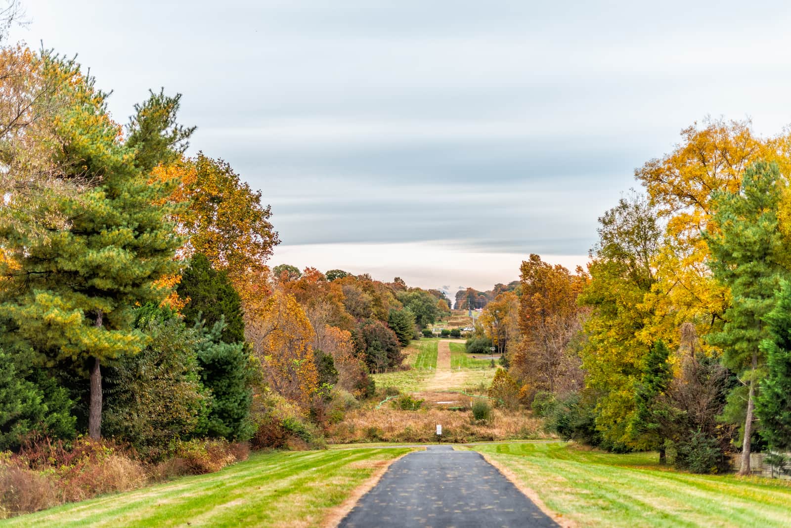 Sugarland Run Stream Valley Herndon Fairfax Virginia