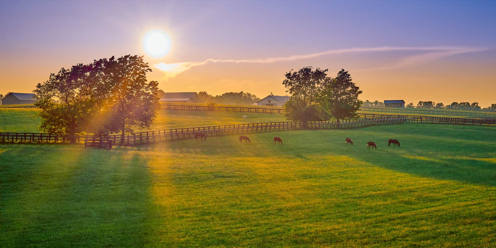 Land in Kentucky