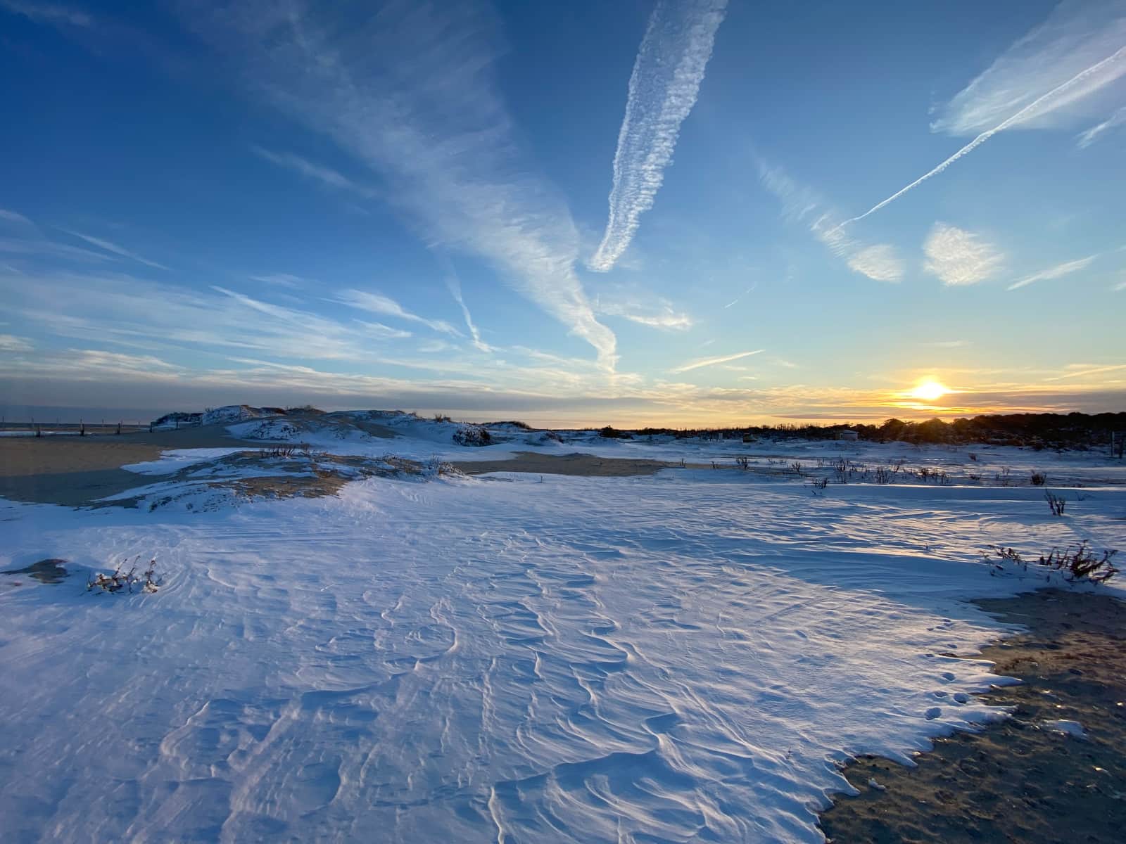 Assateague Island