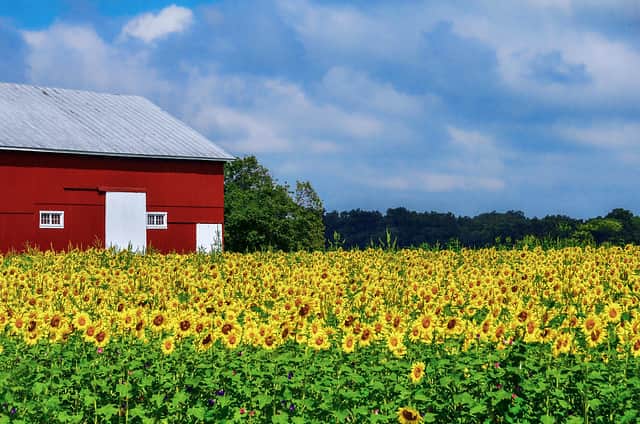 Ohio land for sale