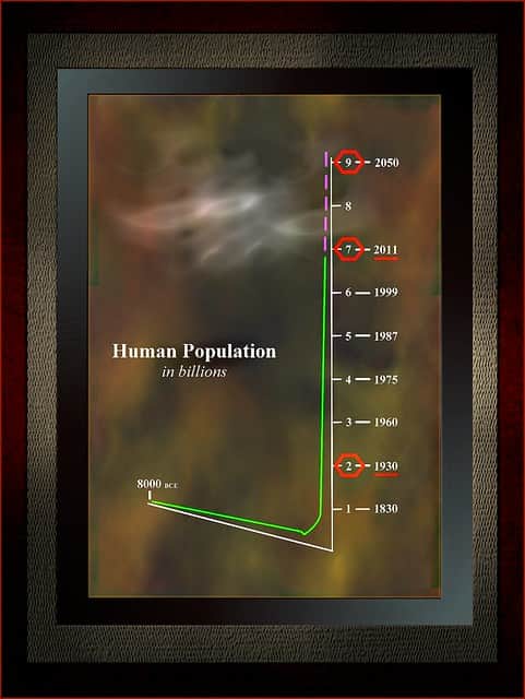 Demographical data