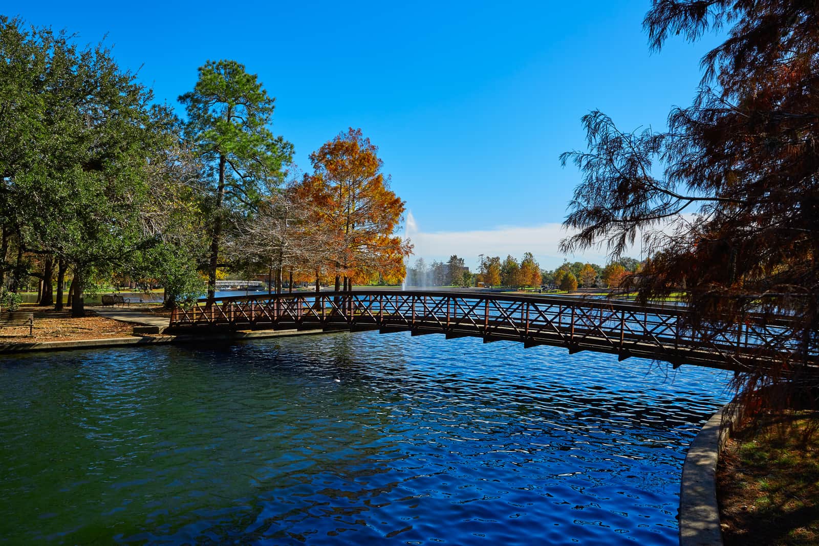 Hermann park conservancy Mcgovern lake in Houston Texas