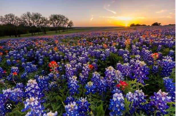 Climate in Texas