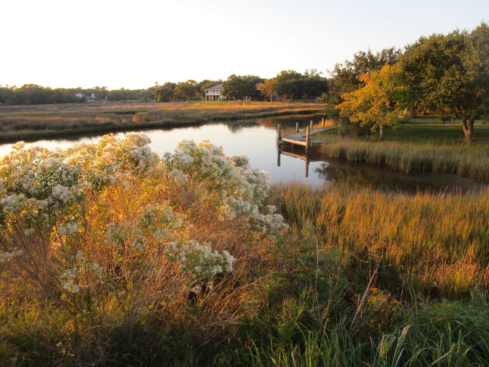 Pascagoula Mississippi Saltwater Waterway