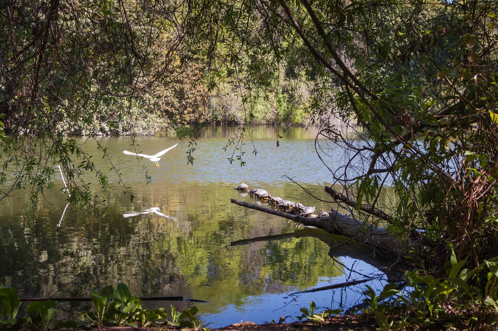 El Dorado Park Nature Center in Long Beach, California