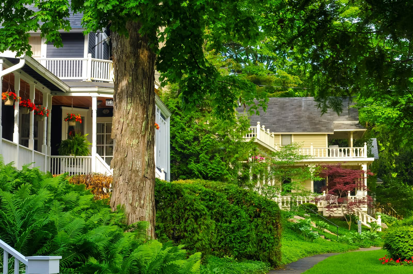 Quaint old homes line a tree-shaded street in an older neighborhood