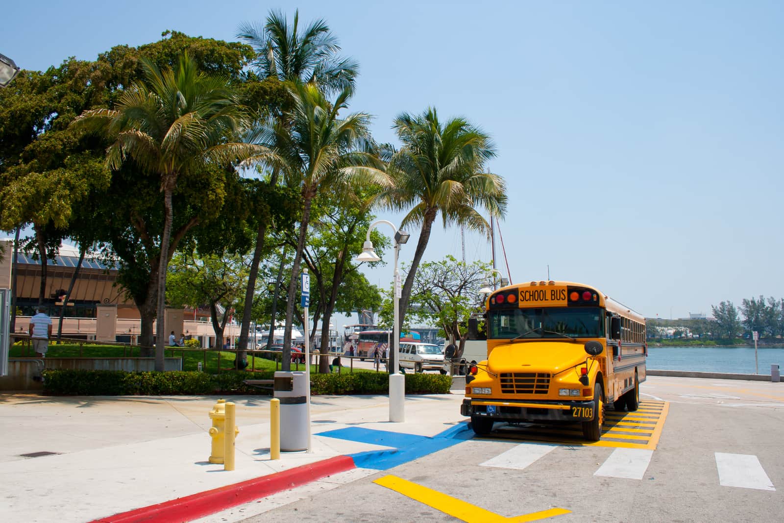 School bus in Florida