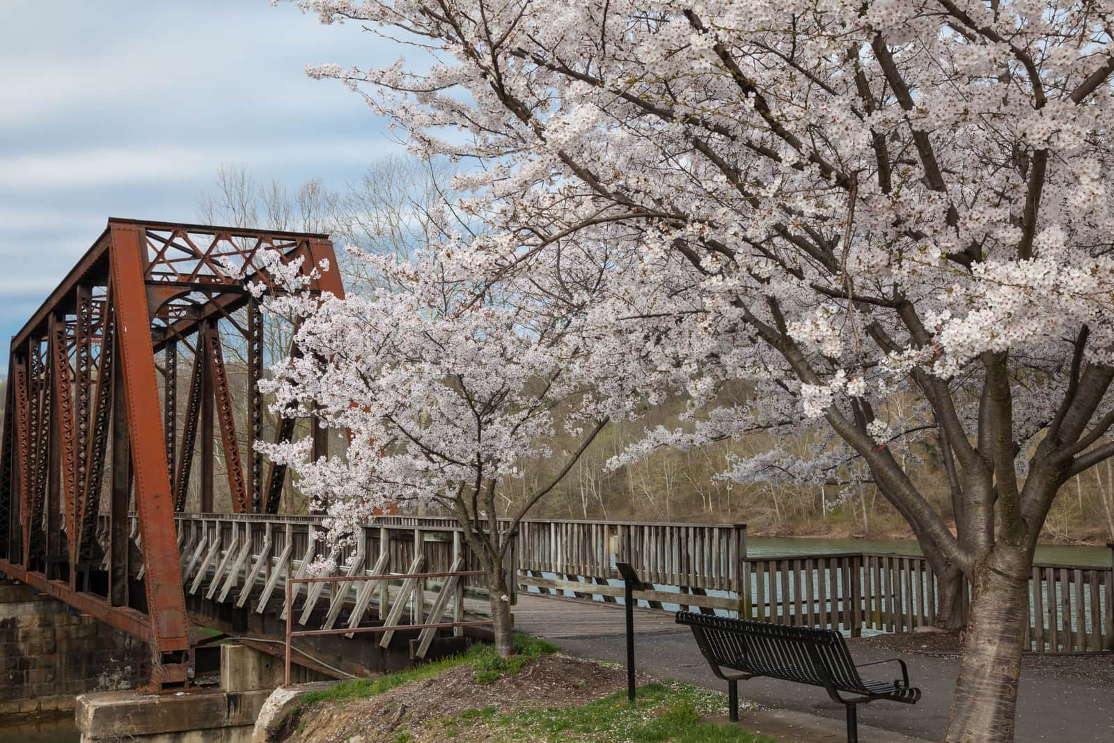 Hazel Ruby McQuain Park in Morgantown West Virginia