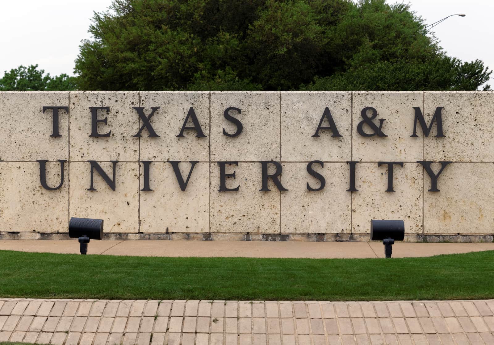 Texas A&M University